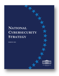National cybersecurity strategy with shadow