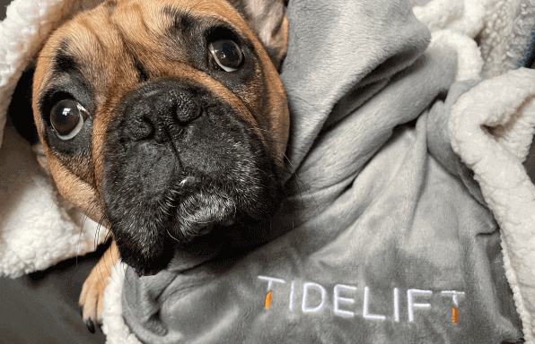 Buttercup in TL Blanket-tinified